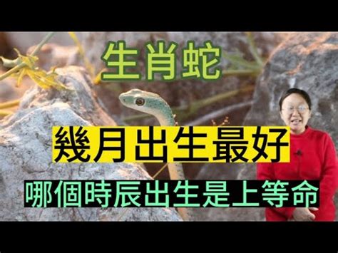 2025蛇寶寶旺父母|蛇宝宝与不同生肖父母之间的关系